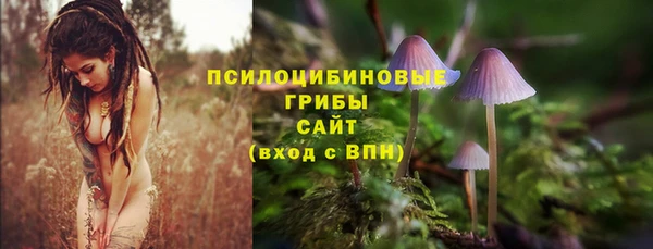 стаф Абинск