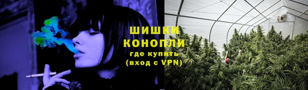 МДПВ Ельня