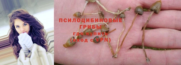бошки Абдулино