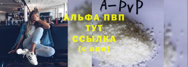 стаф Абинск