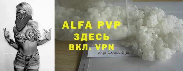стаф Абинск