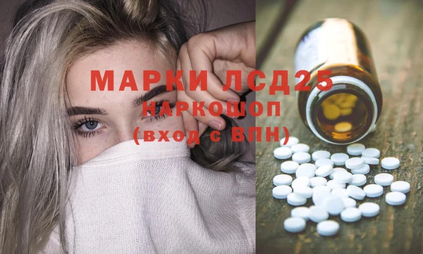 стаф Абинск