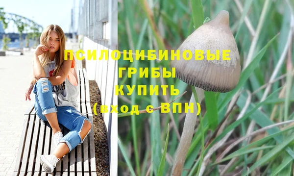 стаф Абинск