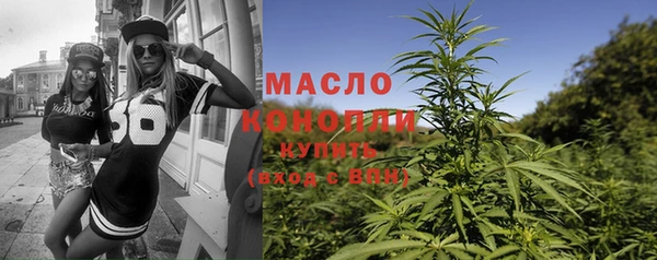 МДПВ Ельня