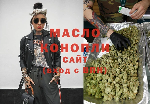 МДПВ Ельня